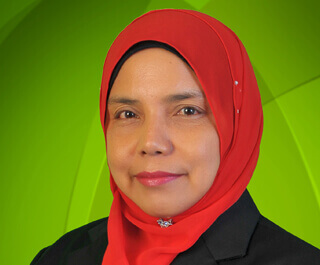 KETUA PENOLONG PENGARAH